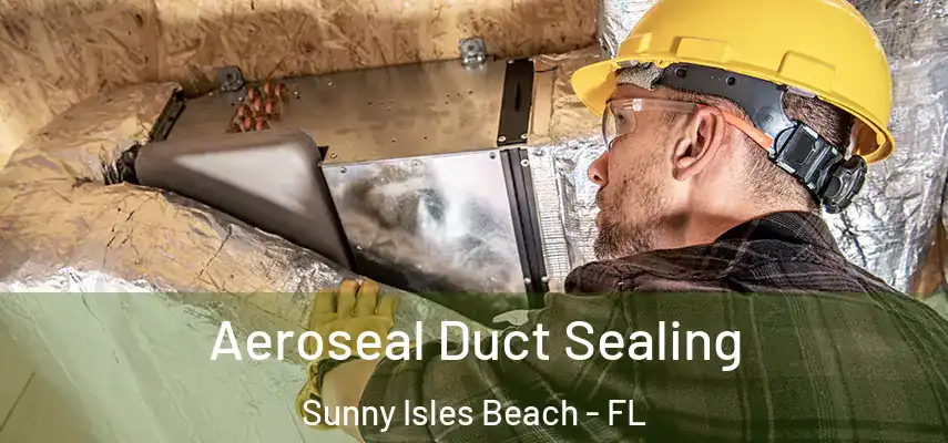  Aeroseal Duct Sealing Sunny Isles Beach - FL