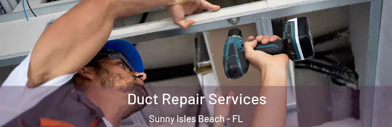  Duct Repair Services Sunny Isles Beach - FL